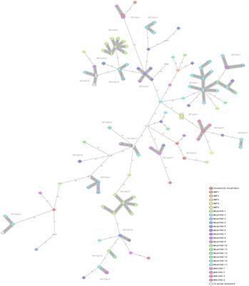 Surveillance and genetic characterization of Listeria monocytogenes in the food chain in Montenegro during the period 2014–2022